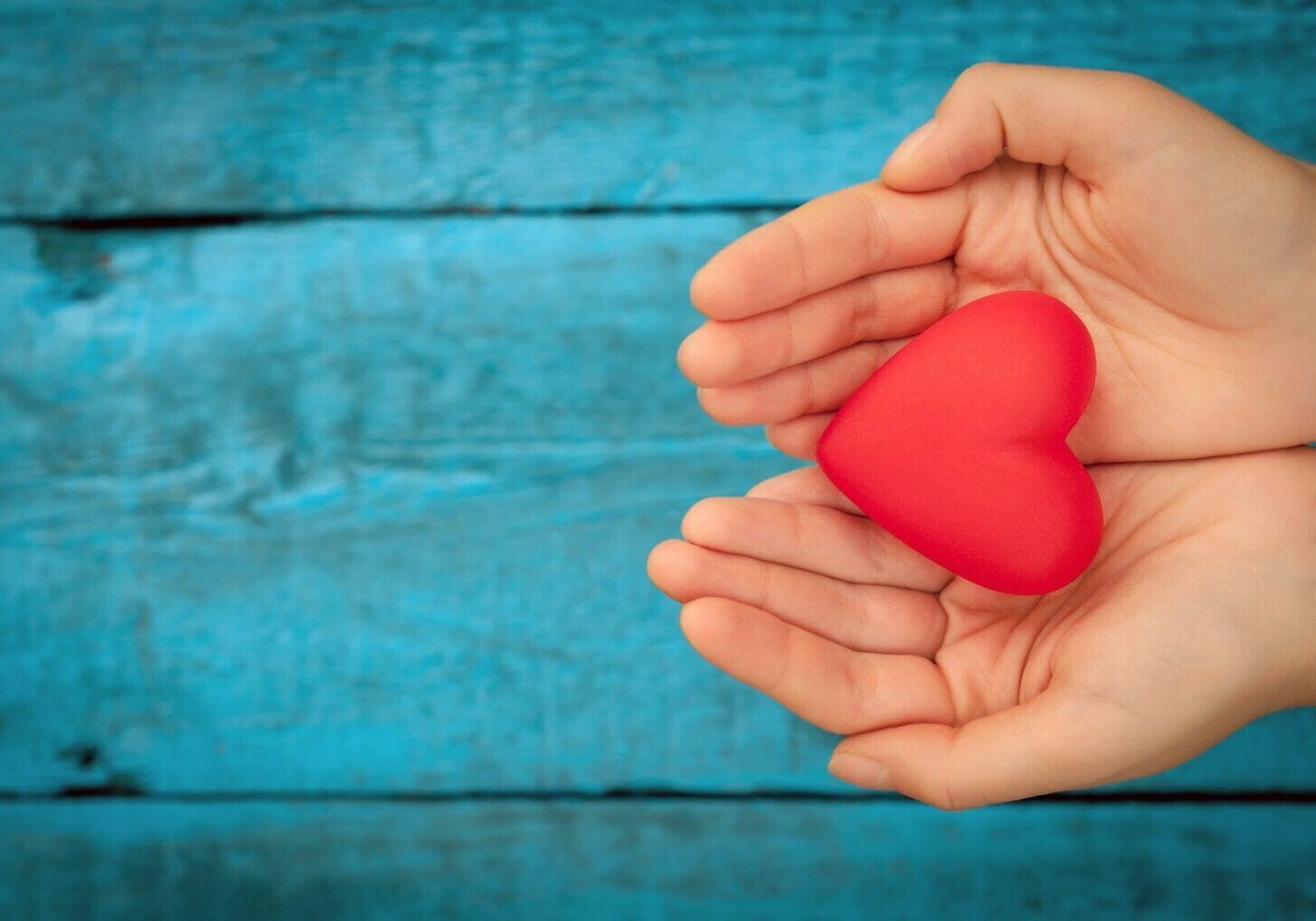 Bigstock red heart in the hands